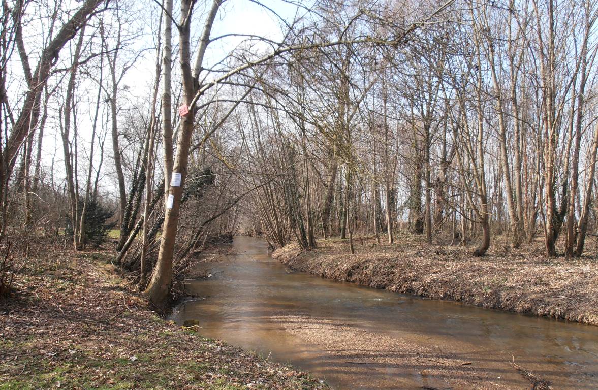 Lot De Mouches De Pêche à La Mouche Vintage – Nouées à La Main – Pour Truite, Saumon, Eau Douce – Fabriqué Aux USA