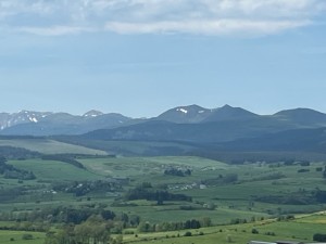 IMG_0195