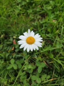 IMG_20251012_153157