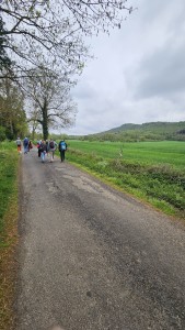 IMG-20260419-WA0133(1)